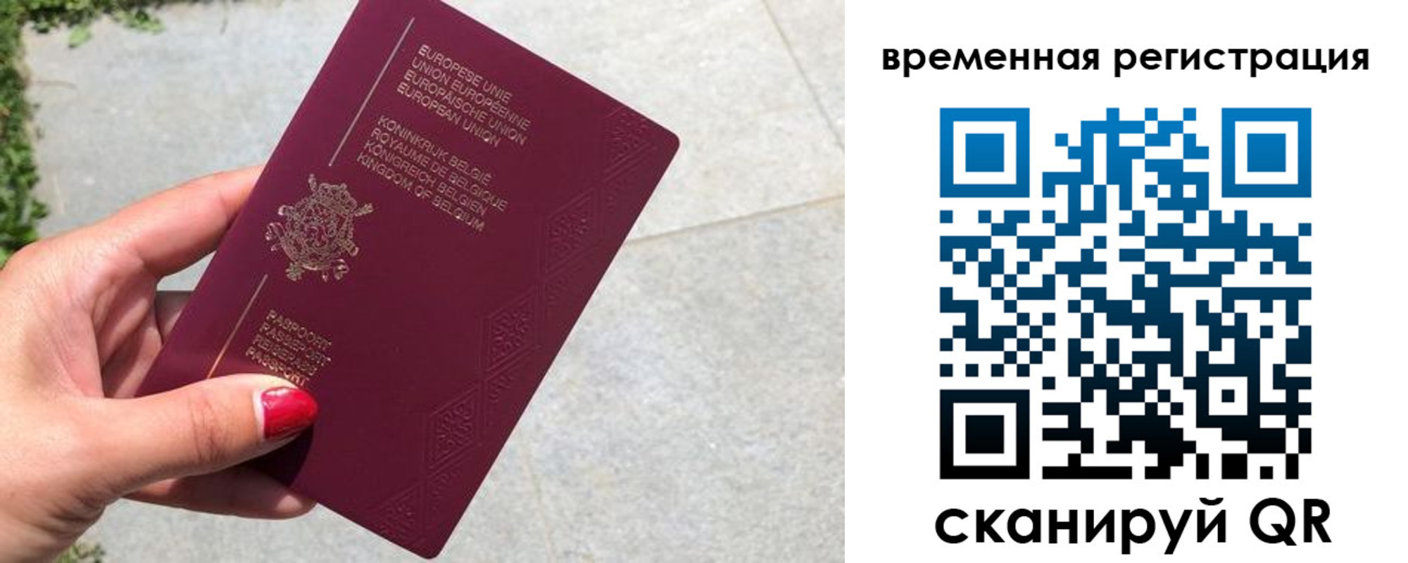 пропишу в квартире в Брянской области